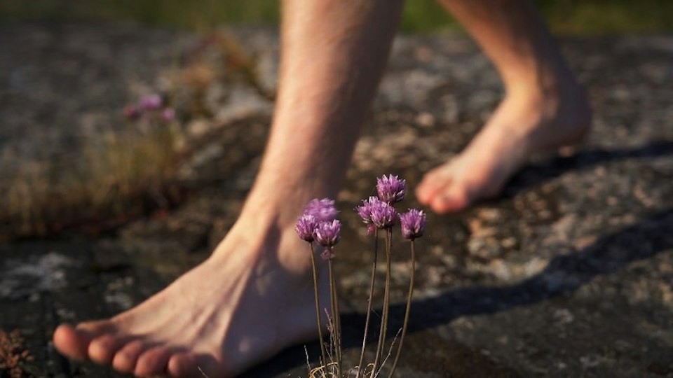 Tann: bare feet on the forest floor