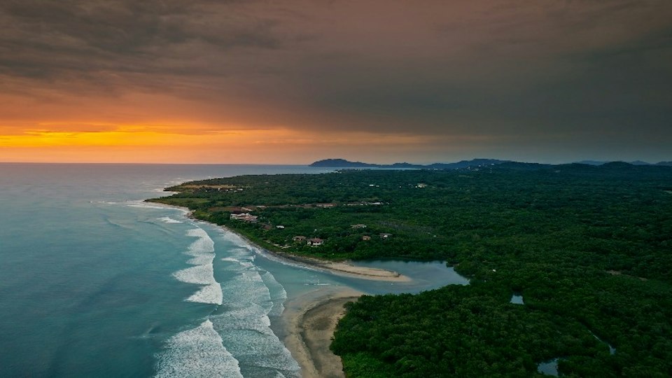 The coast in gold