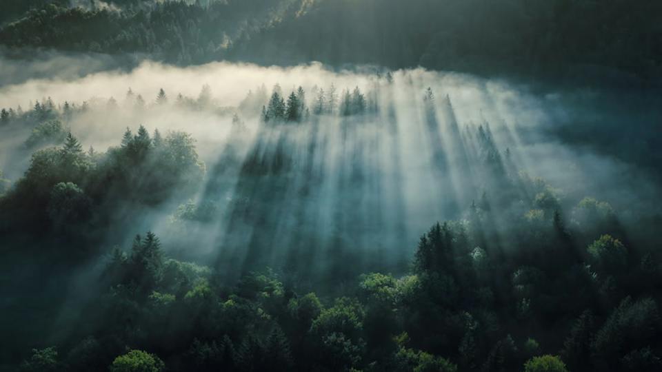 Light through the clouds over the forest