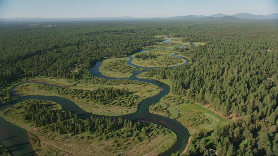 Tunn: river and forest, owned by no one
