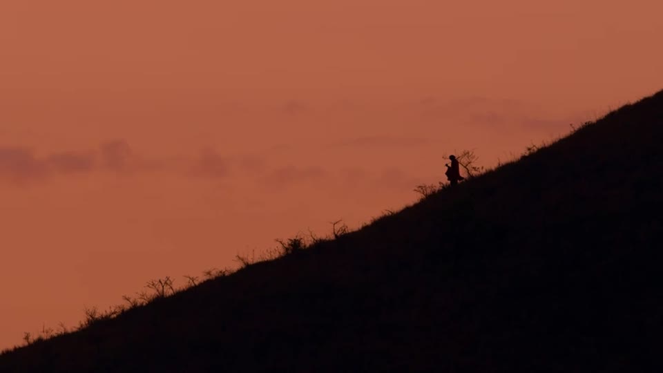 He walks on up the ridge into the last light, like someone walking home