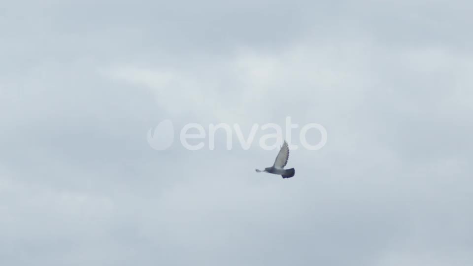 Up into the open sky, straight into the pre-chorus