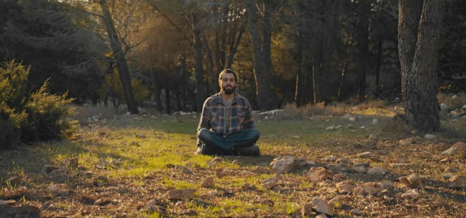 Sitting in the forest, meditating